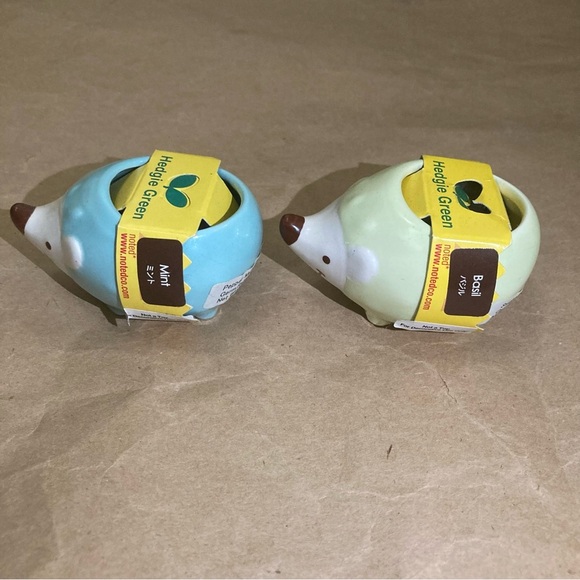 2 x hedgie plants - Picture 4 of 6